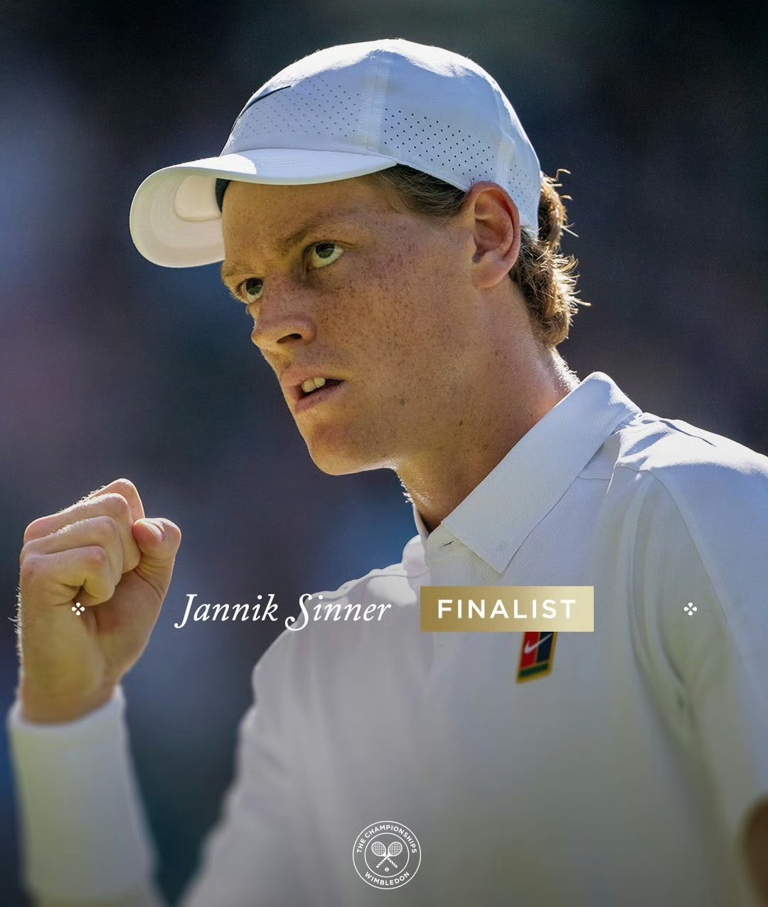 ATP总决赛轻取戴维斯杯，辛纳统治全场的简单介绍