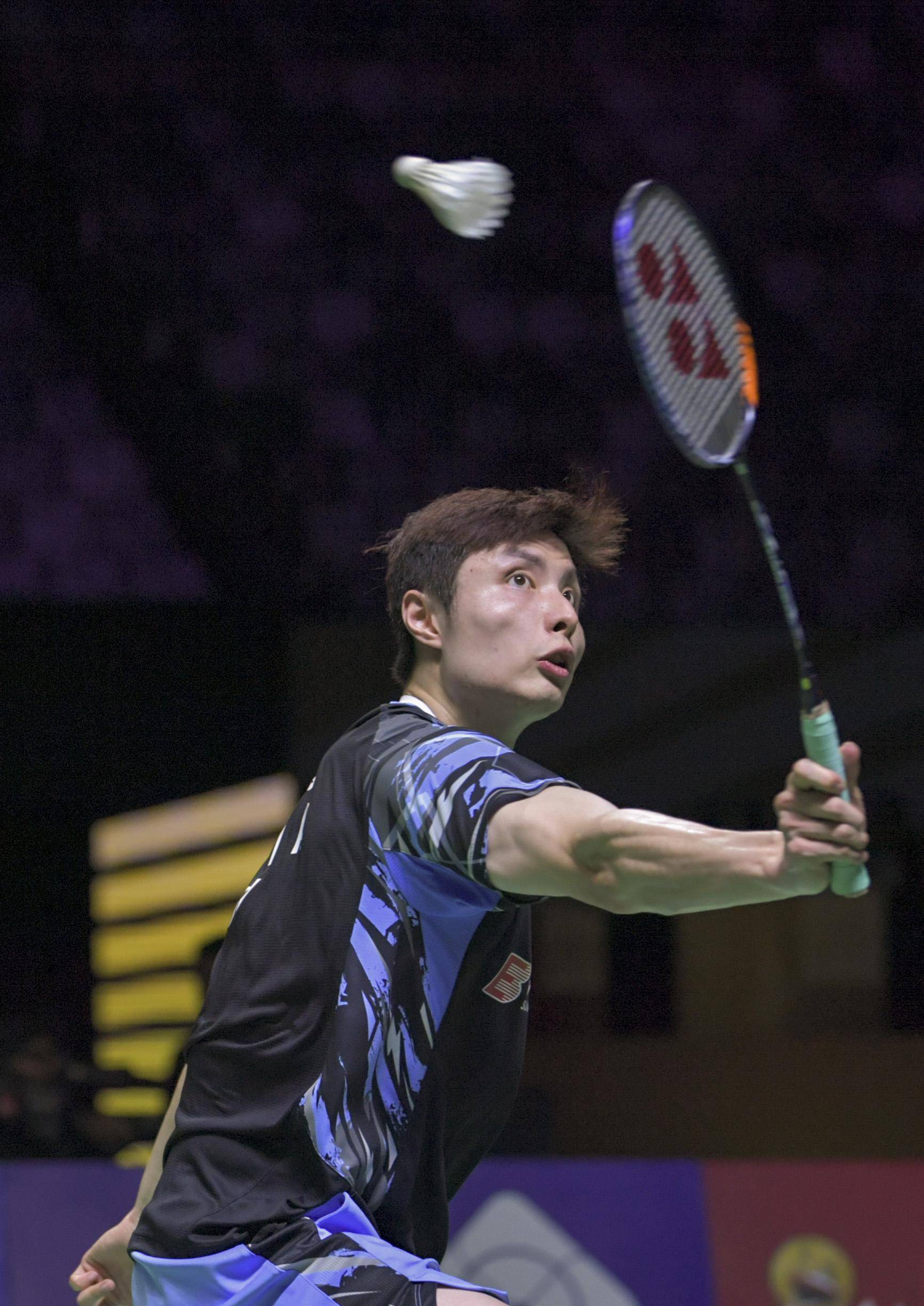 丹麦队横扫德国队，石宇奇惊艳四座的简单介绍