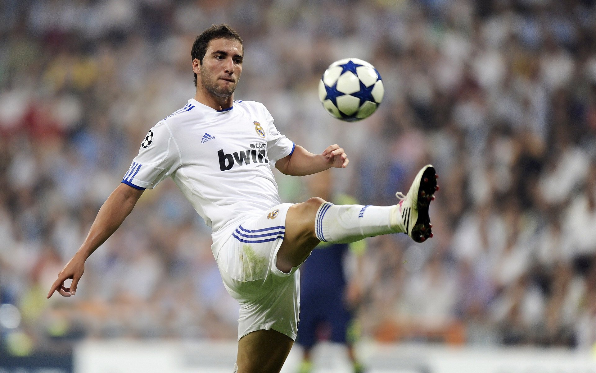 超越大满贯的荣耀，德约科维奇戴维斯杯高光，为何比澳网更具唯一性？