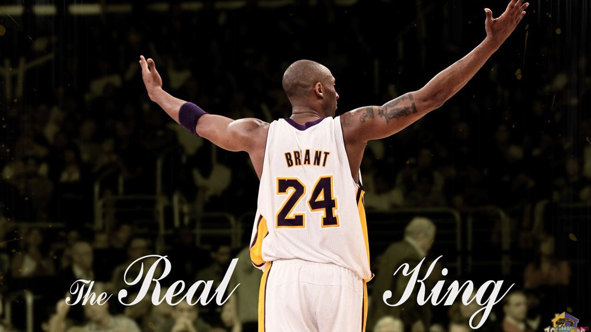 赛道上的冰与火之歌，索伯险胜法拉利，维斯塔潘统治全场